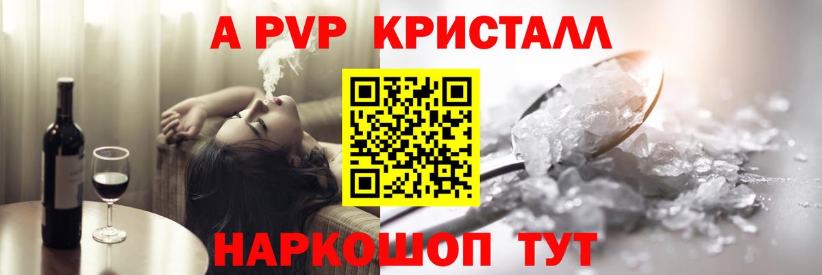 Alfa_PVP СК Саратов