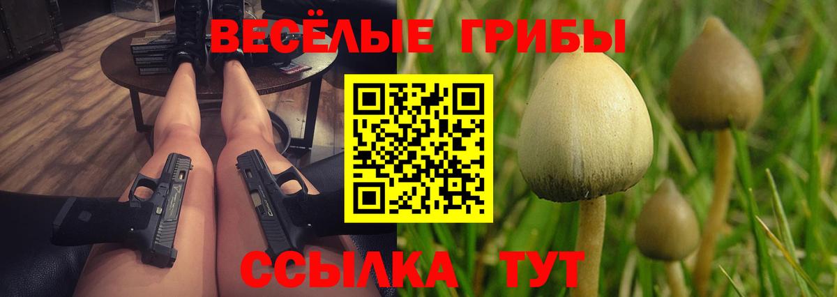 Саратов  где купить наркотик  Вход с VPN  Псилоцибиновые грибы Psilocybine cubensis 